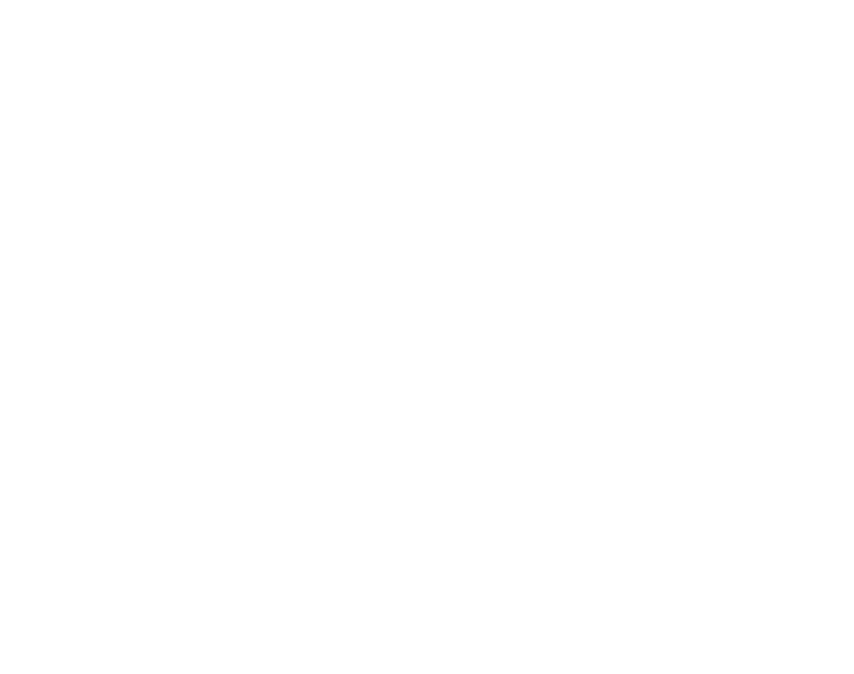 VIGI Solutions – logo